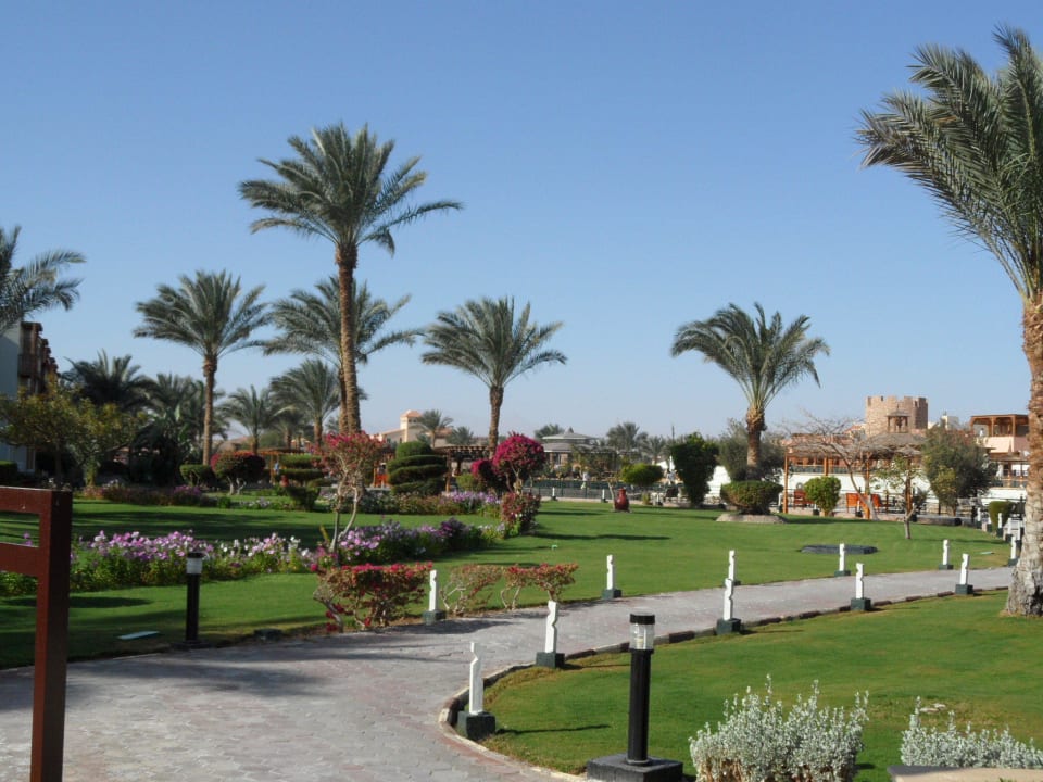 Garten/Restaurant Pickalbatros Dana Beach Resort - Hurghada