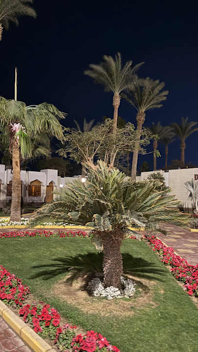 Gartenanlage Regina Resort and Aqua Park Hurghada