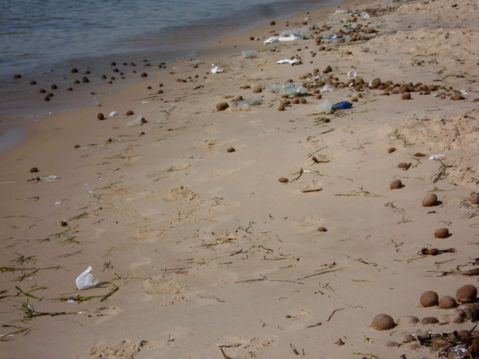 Strand Oceana Hotel & Spa