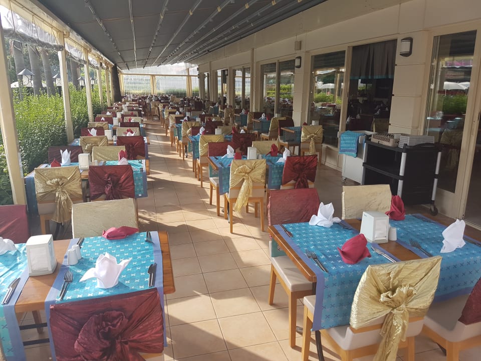 Restaurant Trendy Palm Beach (Adults Only, 16+)
