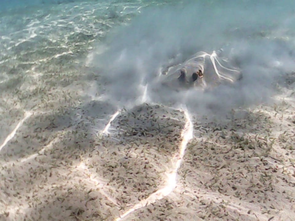 Strand Makadi Spa - Adults only