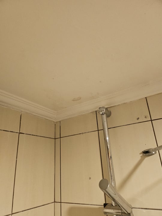 Zimmer Asteria Family Belek