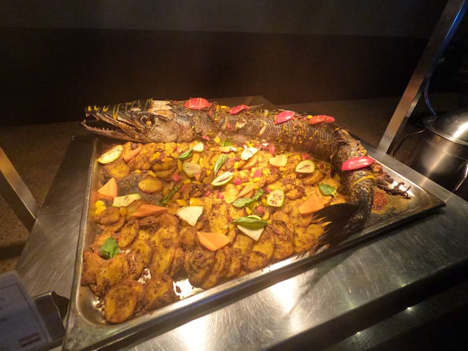 Gastro Iberotel Makadi Beach