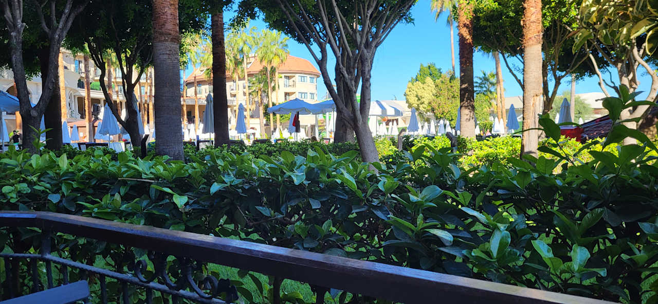 Gastro allsun Numa Club Side