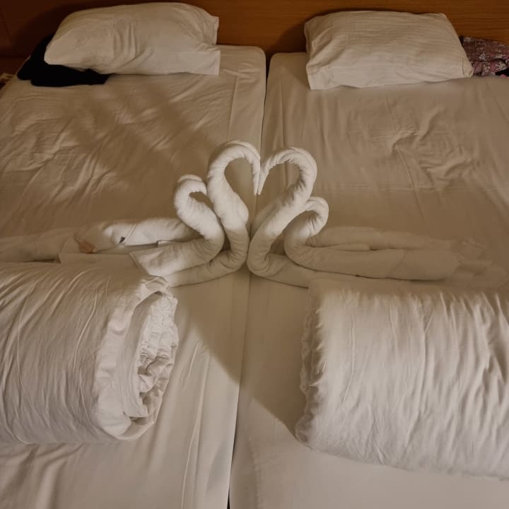 Zimmer Alaiye Resort & Spa