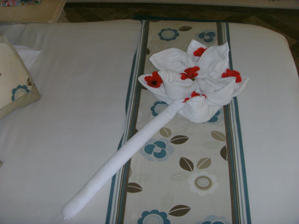 Zimmer Pickalbatros Citadel Resort