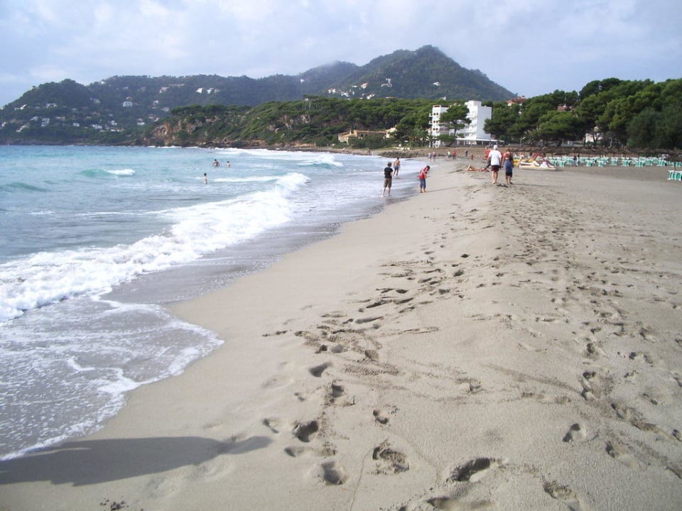 Feiner Sand Universal Hotel Castell Royal