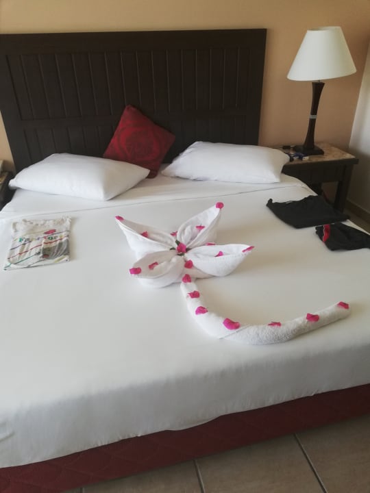 Zimmer TUI MAGIC LIFE Kalawy
