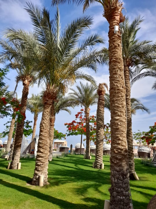 Gartenanlage The Grand Palace - Adults only