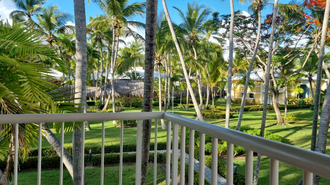 Zimmer Grand Palladium Punta Cana Resort & Spa