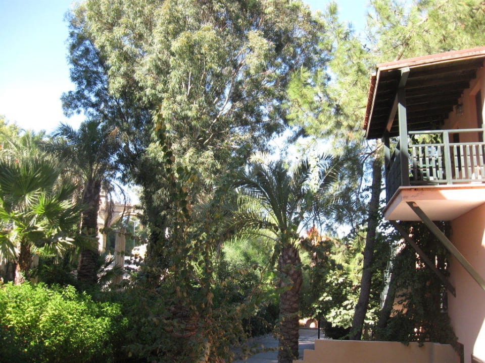 Бунгалики Grand Yazici Club Marmaris Palace