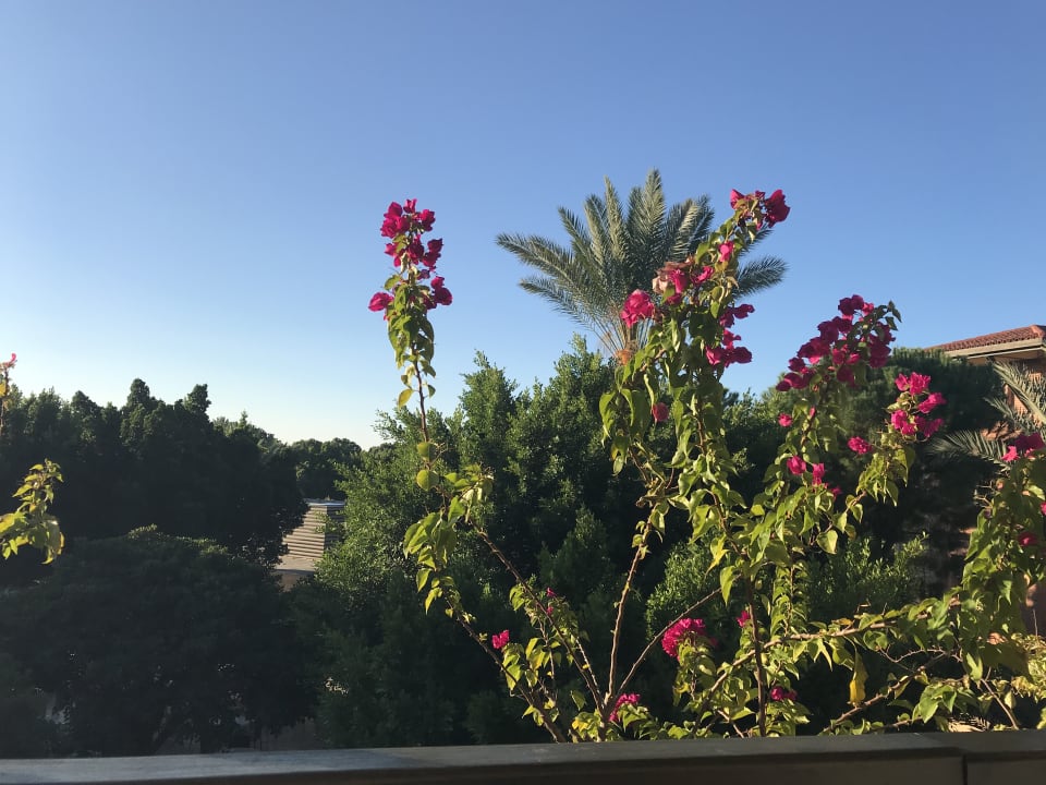 Ausblick Gloria Golf Resort