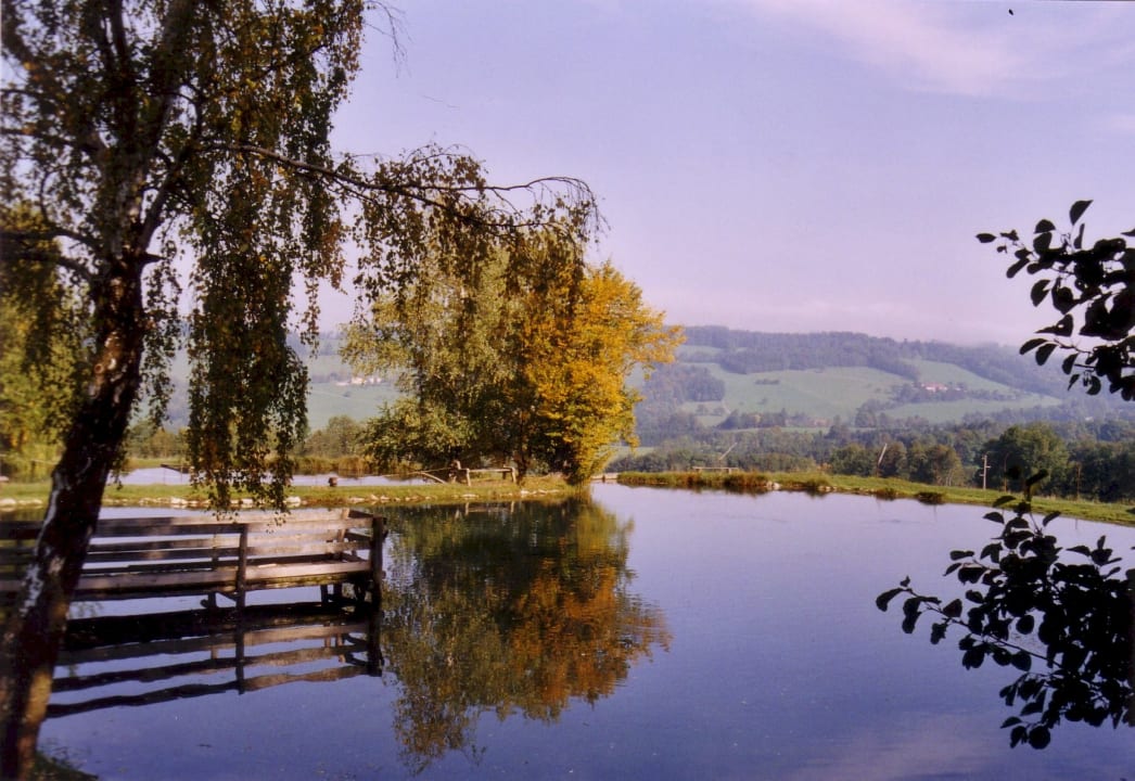 Ausblick Bauernhof Forellenhof