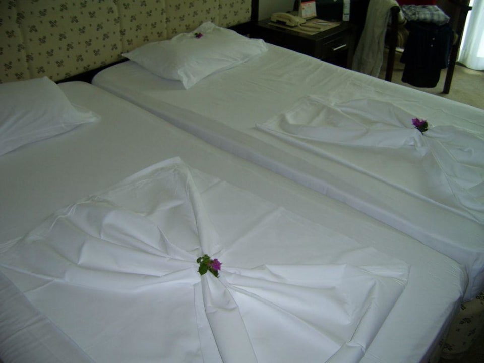 Kleine Aufmerksamkeit des Zimmermädchens Asteria Collection Side