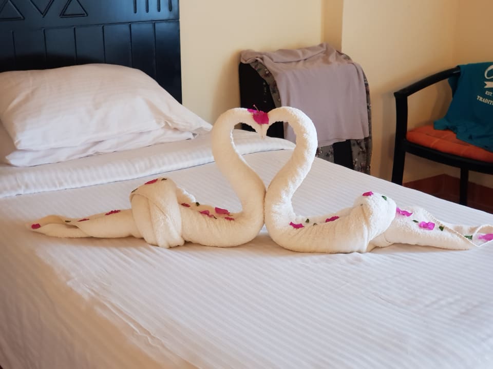 Zimmer Three Corners Sea Beach Resort