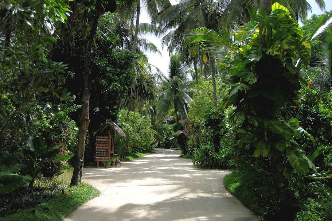 Im Inselinneren Kuramathi Maldives