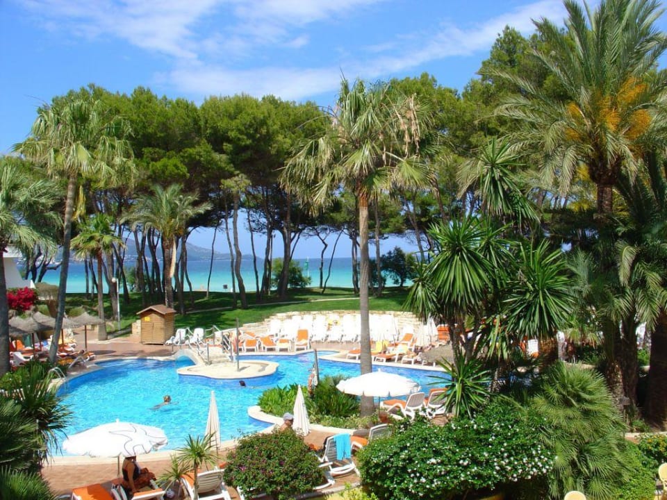 Balkonausblick auf Pool und Meer Iberostar Waves Playa de Muro