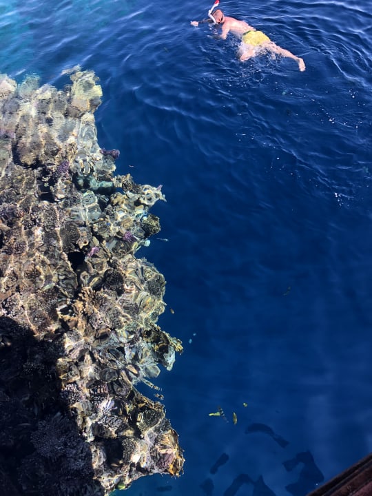 Strand The Grand Hotel Sharm El Sheikh