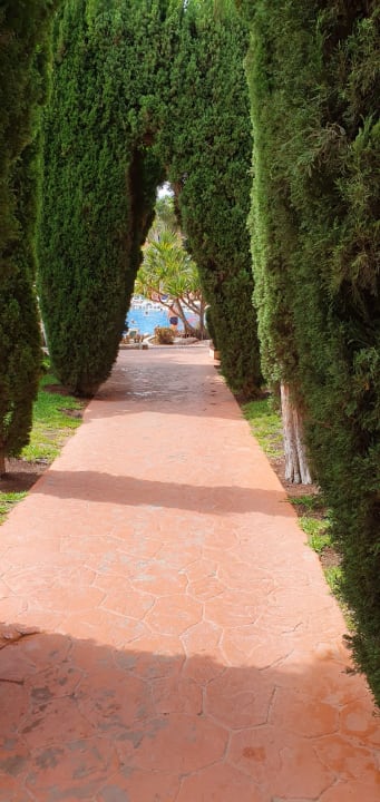 Gartenanlage allsun Hotel Esplendido