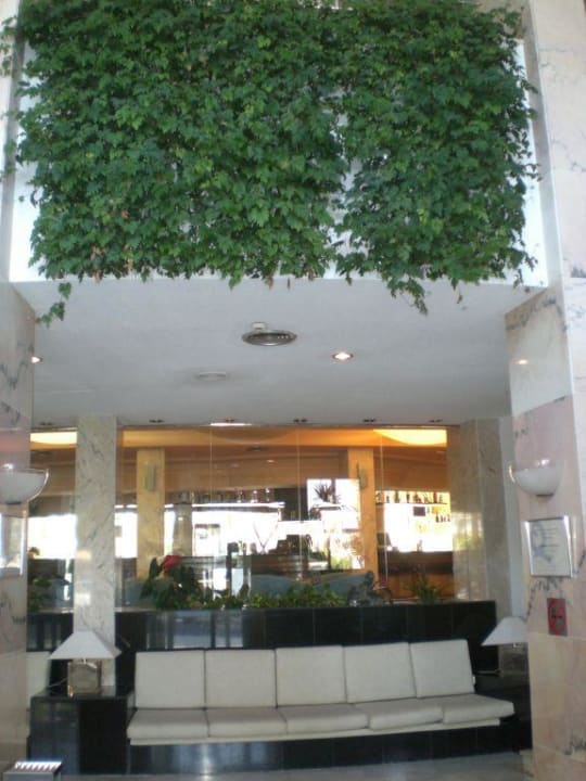 Eingang  Aparthotel Ivory Playa