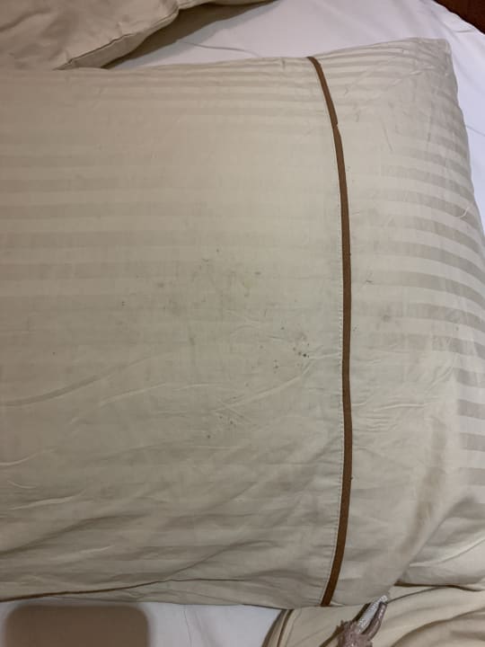 Zimmer Grand Waterworld Makadi & Family Star Makadi