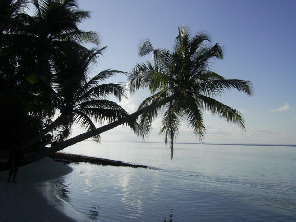 Inselbegehung Vilamendhoo Island Resort & Spa