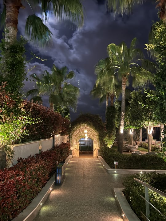 Gartenanlage Hotel Selena Beach