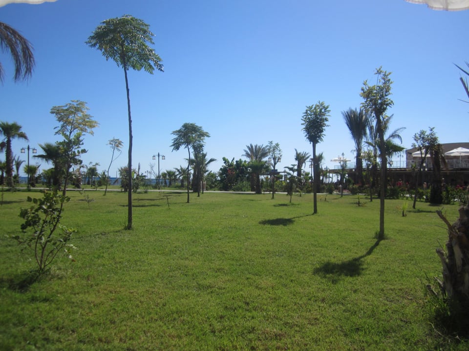 Ausblick vom Liegestuhl Seaden Sea Planet Resort & Spa