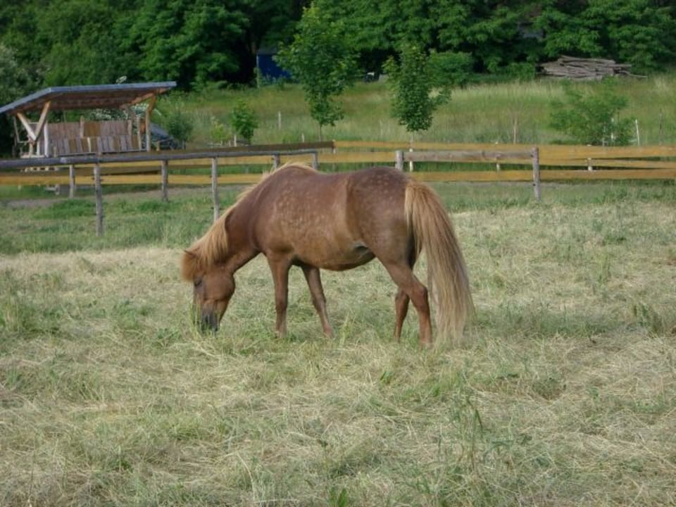 Sport & Freizeit Rüsterhof