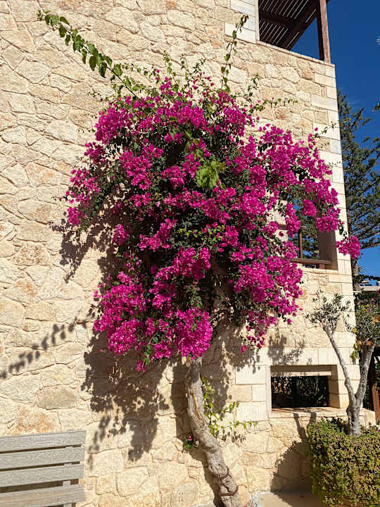 Außenansicht Cactus Beach