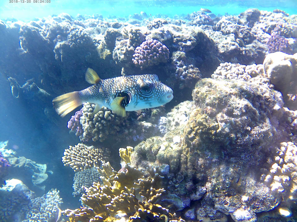 Sport & Freizeit Brayka Bay Resort