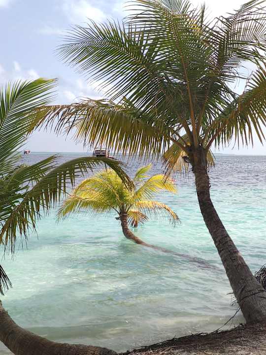 Ausblick Vilamendhoo Island Resort & Spa