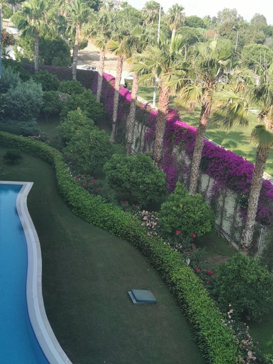 Ausblick TUI BLUE Barut Andız - All Inclusive - Adults Only