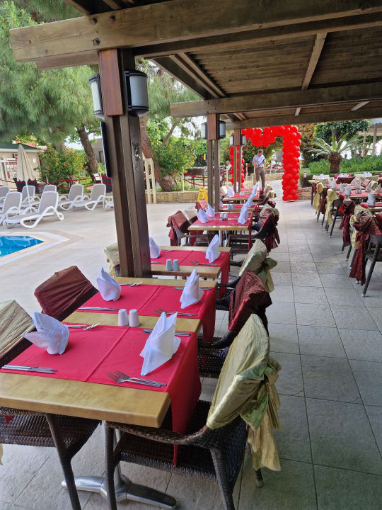 Gastro Trendy Side Beach Hotel - Adults only