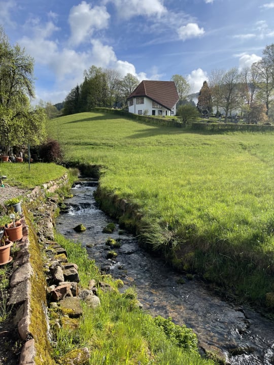 Ausblick Ferienhotel Ödenhof