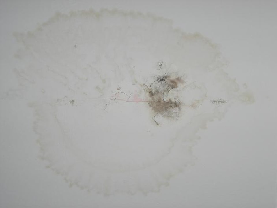 Schimmelflecken an der Decke Hotel Orfeus Park
