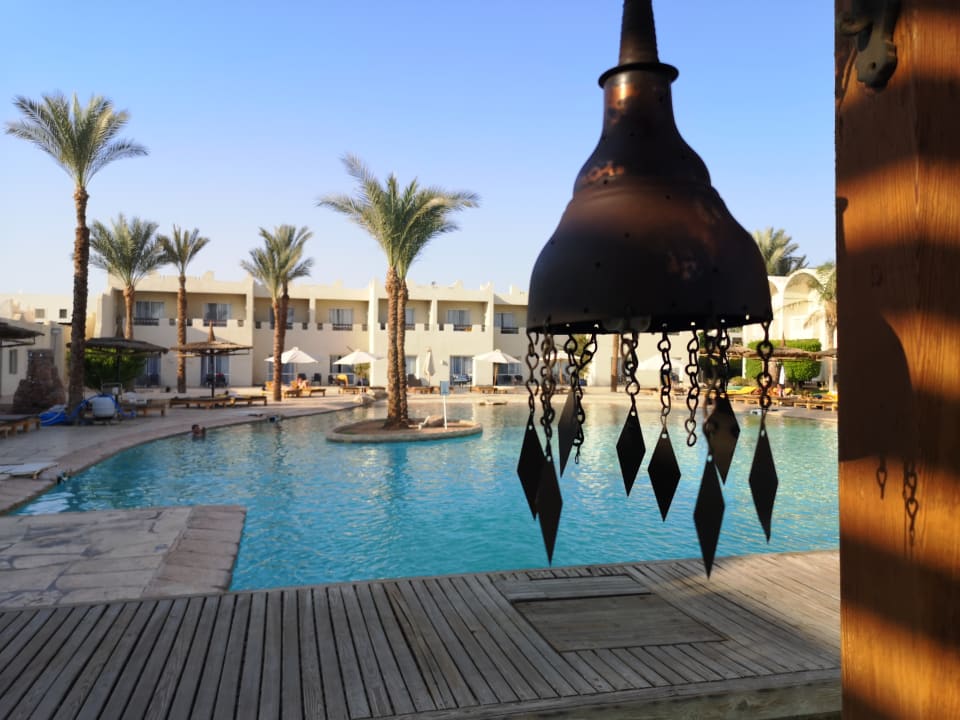 Pool Reef Oasis Beach Resort