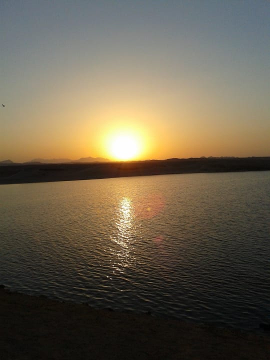 Sonnenuntergang am Schiffswrack Steigenberger Coraya Beach - Adults only