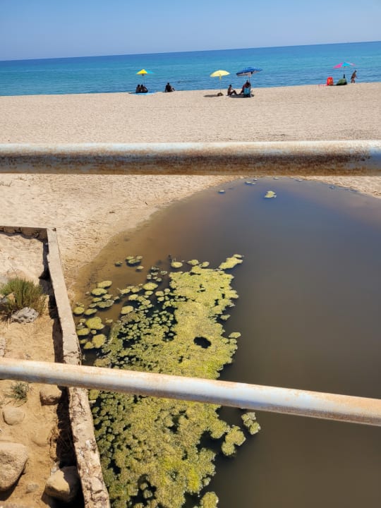 Strand Hotel Flamingo Resort