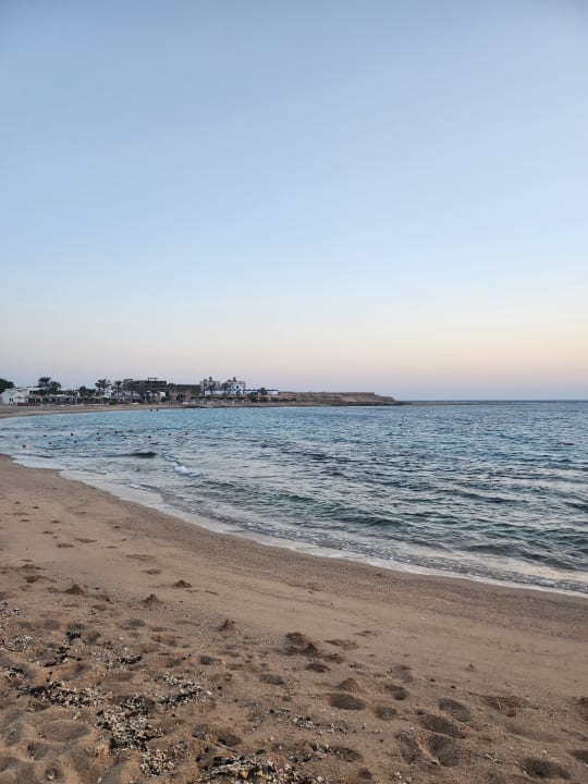 Strand Coral Sun Beach