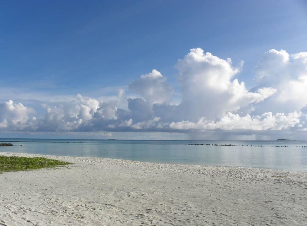 Ostseite Summer Island Maldives
