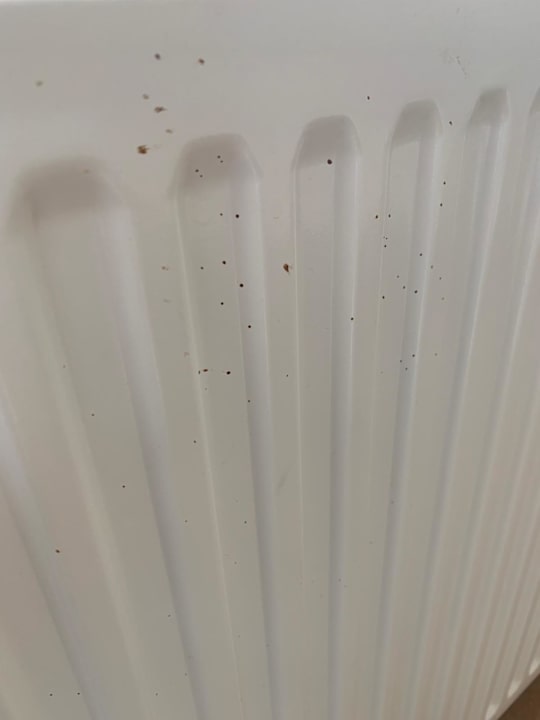 Zimmer Hotel am Stern