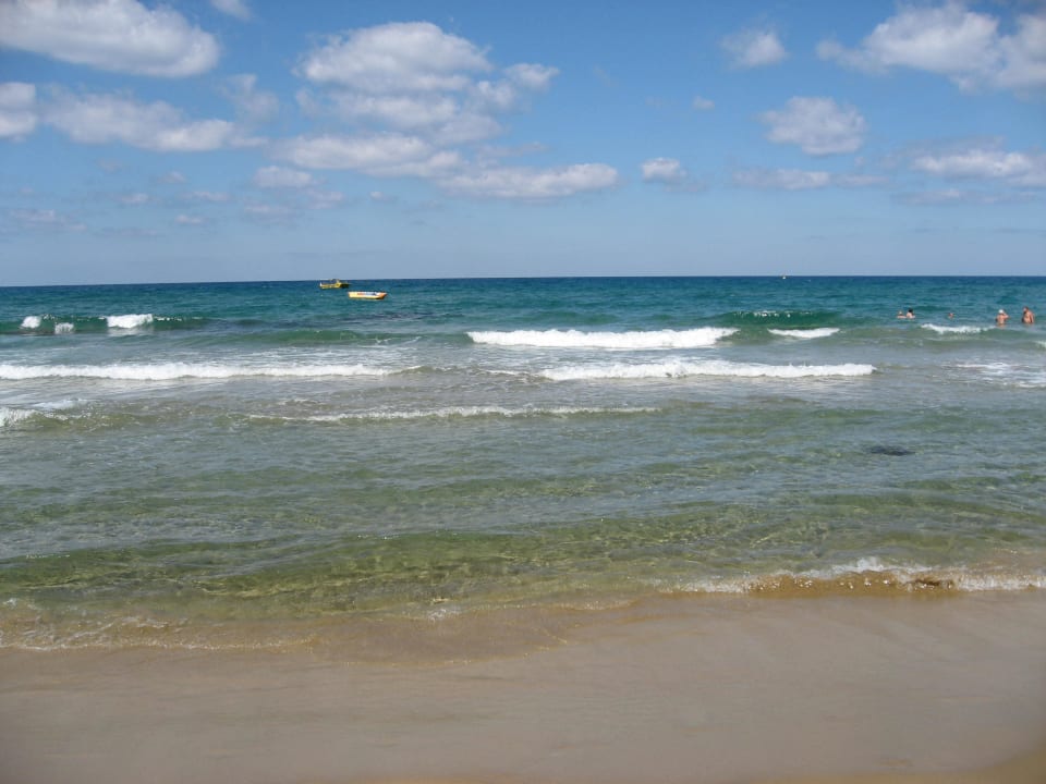 Schöne Wellen Cactus Beach