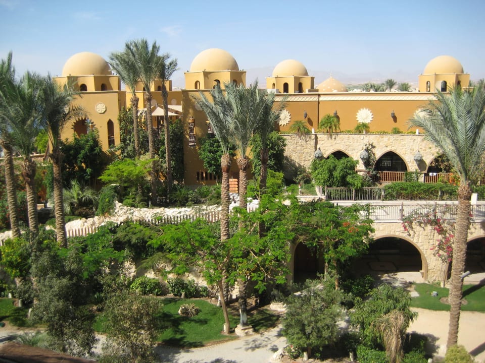 Junior-Suite (Zimmer 6277) Makadi Spa - Adults only