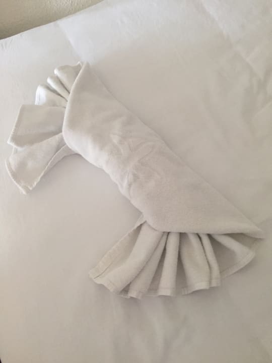 Zimmer Iberostar Waves Pinos Park