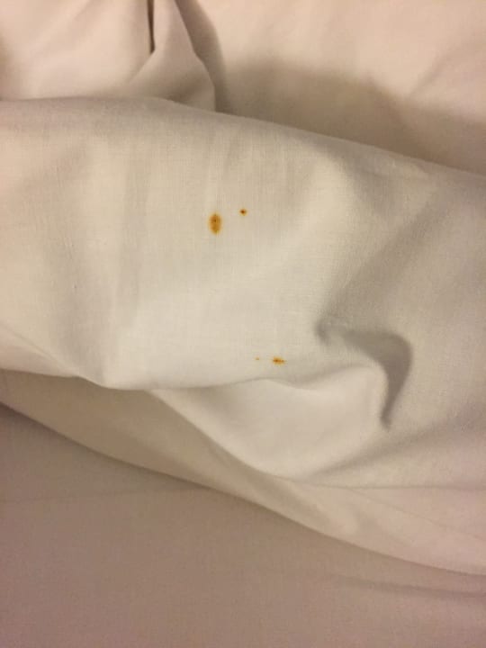 Zimmer Hotel Bel Azur Thalasso & Bungalows