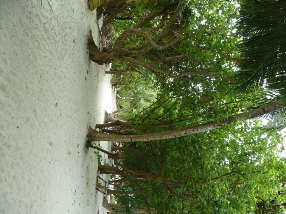 Barfußwege Embudu Village