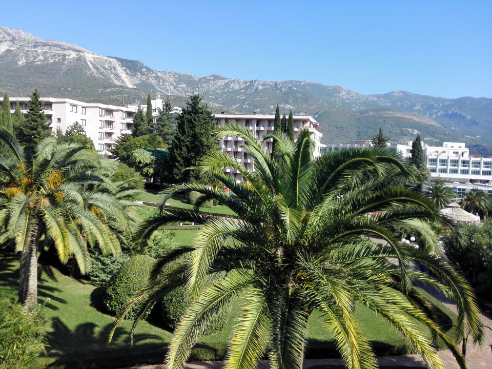 Gartenanlage Iberostar Waves Bellevue