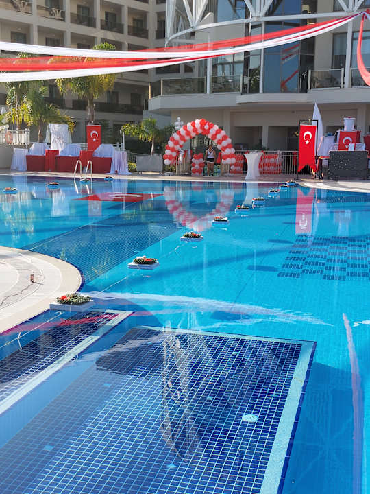 Sonstiges Seashell Vega