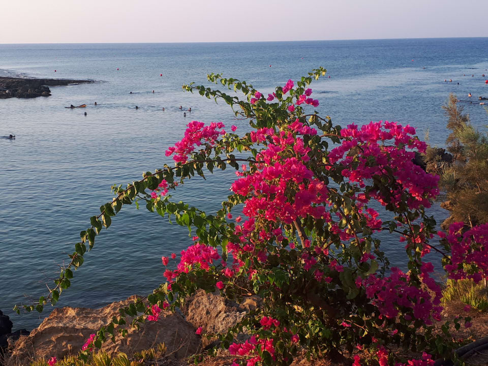 Ausblick Crystal Springs Beach Hotel